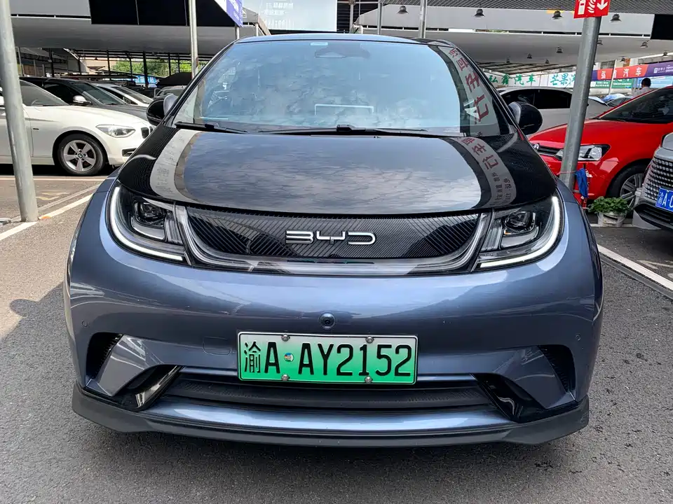 BYD dolphin
