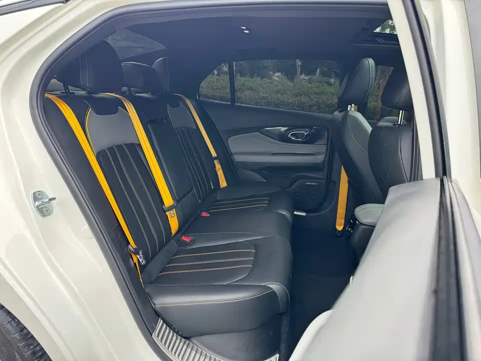 Trumpchi Shadow Leopard