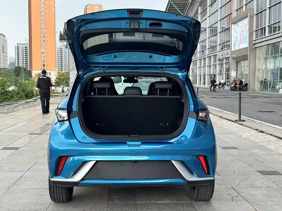 BYD dolphin