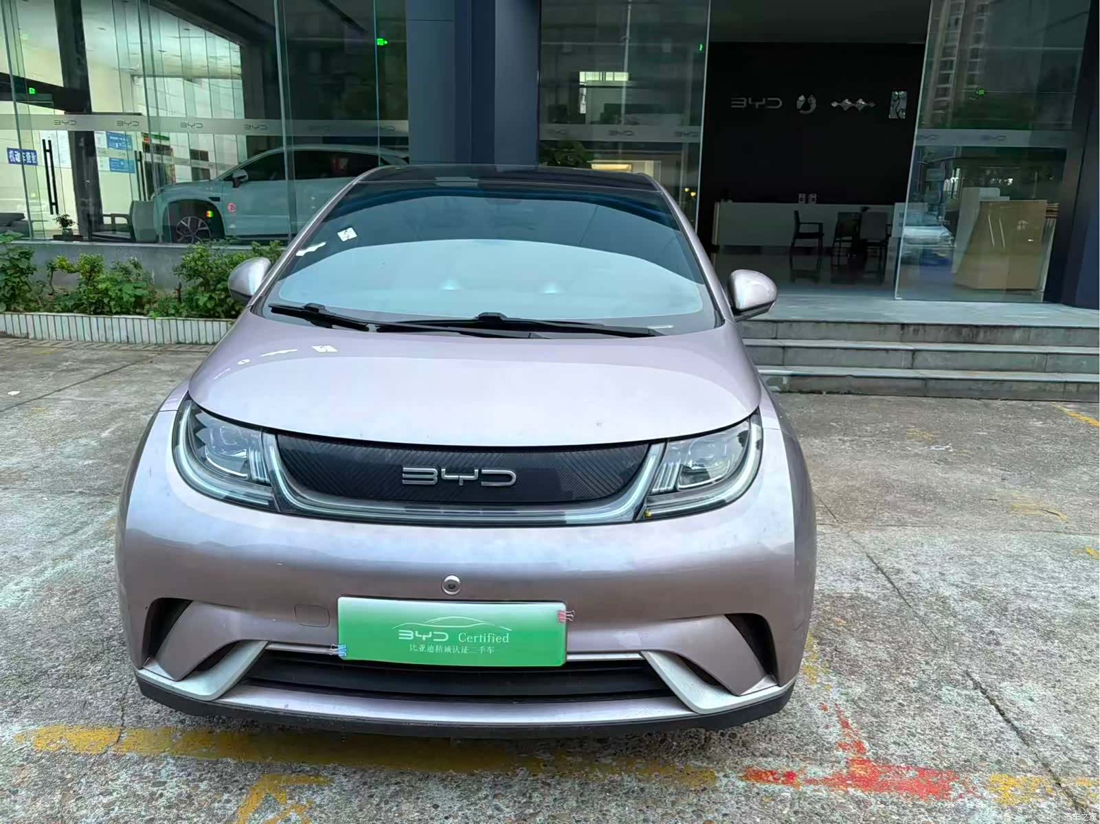 BYD Dolphin, 2022 2