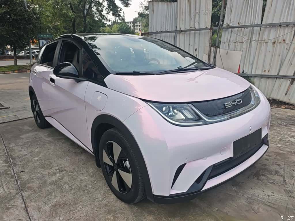BYD Dolphin, 2023 4