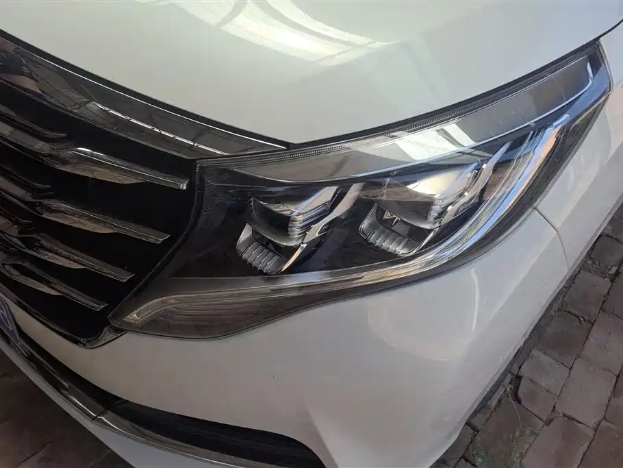 Trumpchi Trumpchi M8