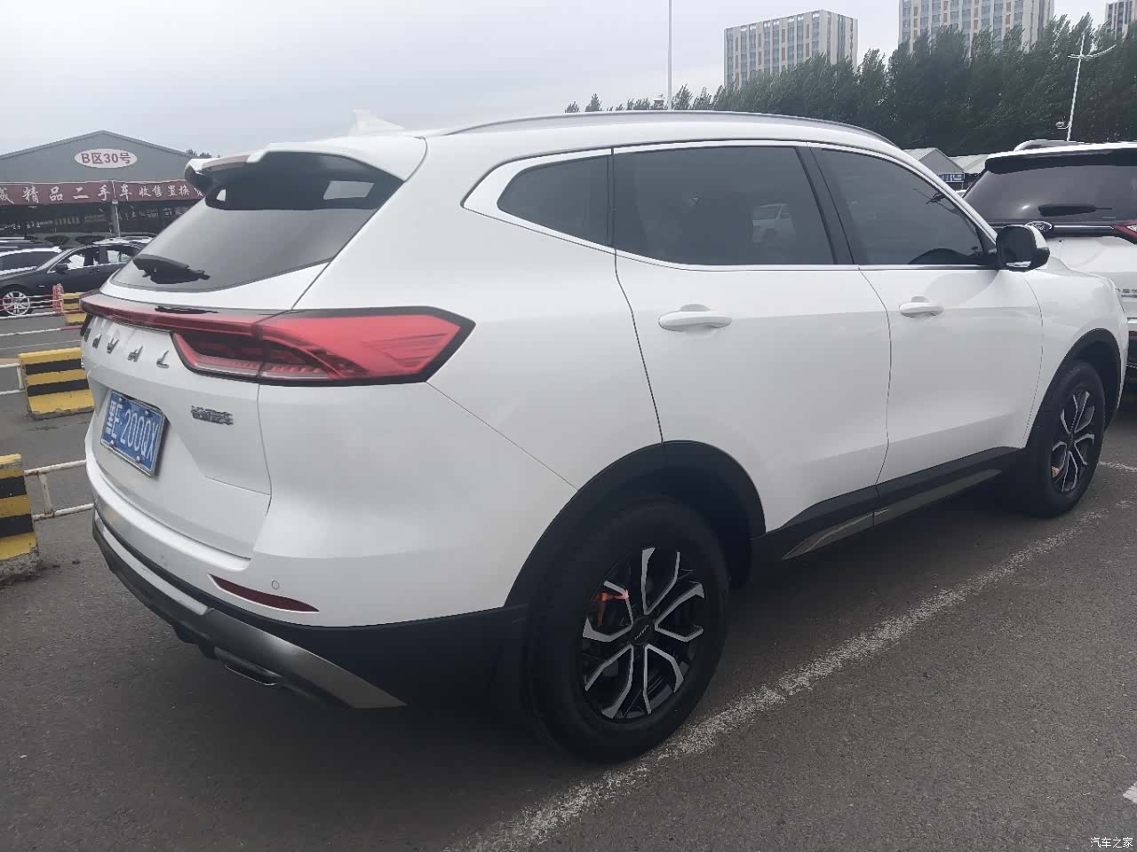 Haval H6, 2022 все фото