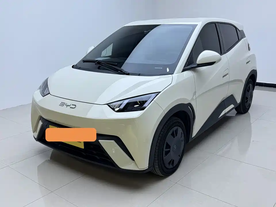 BYD Seagull