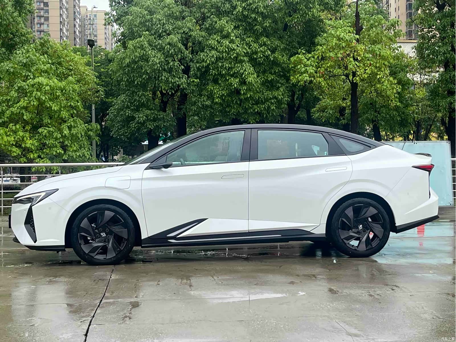 Honda L, 2026 4