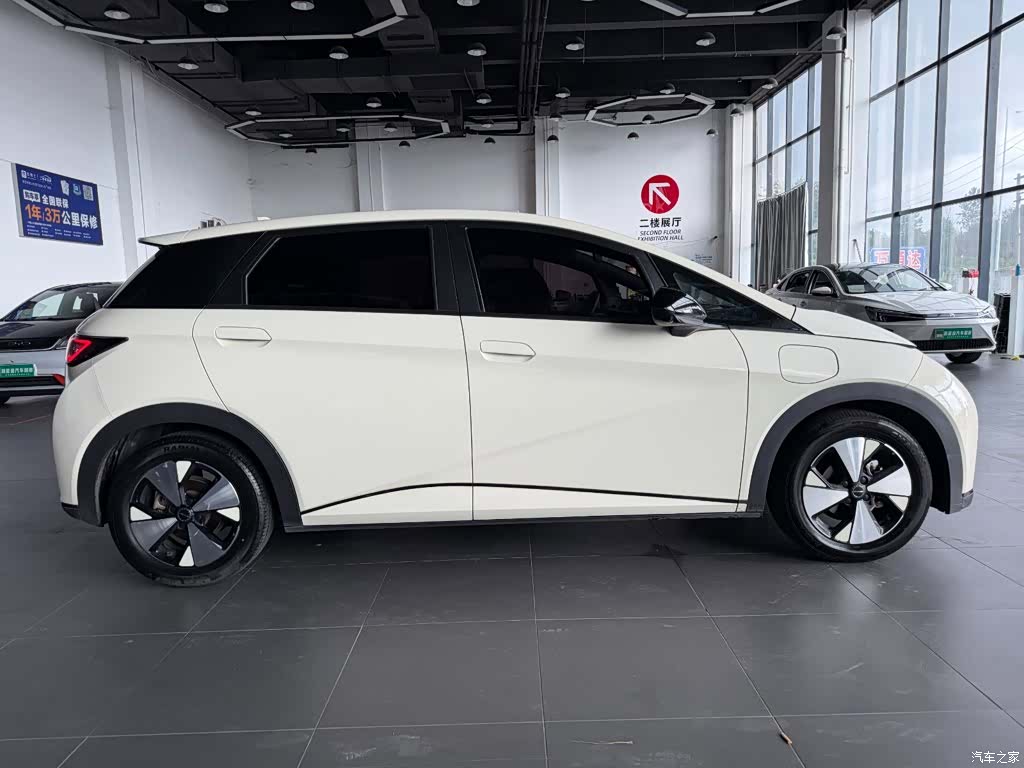 BYD Dolphin, 2023 7