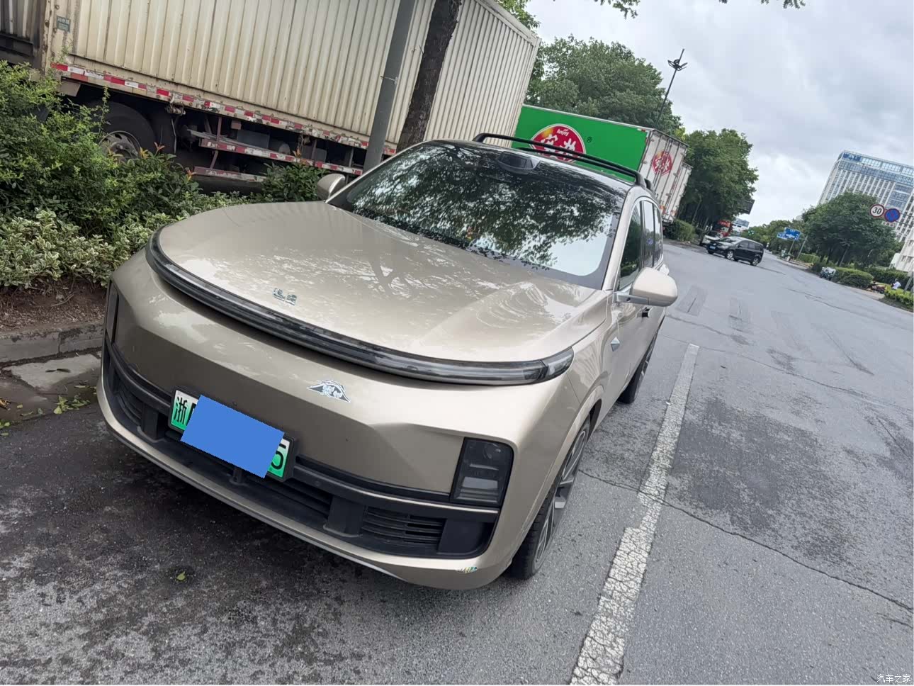 Li Auto L9, 2023 1