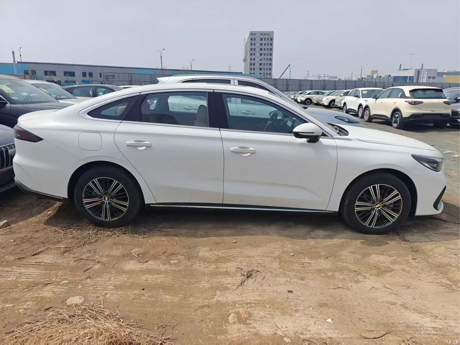 Geely 6, 2026 все фото