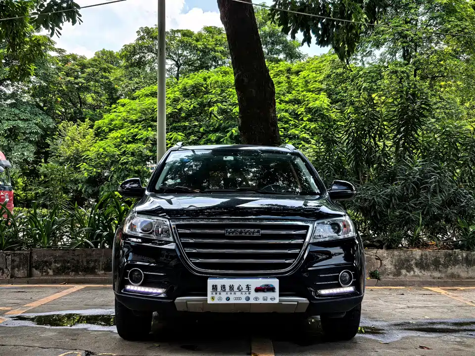 Haval H6