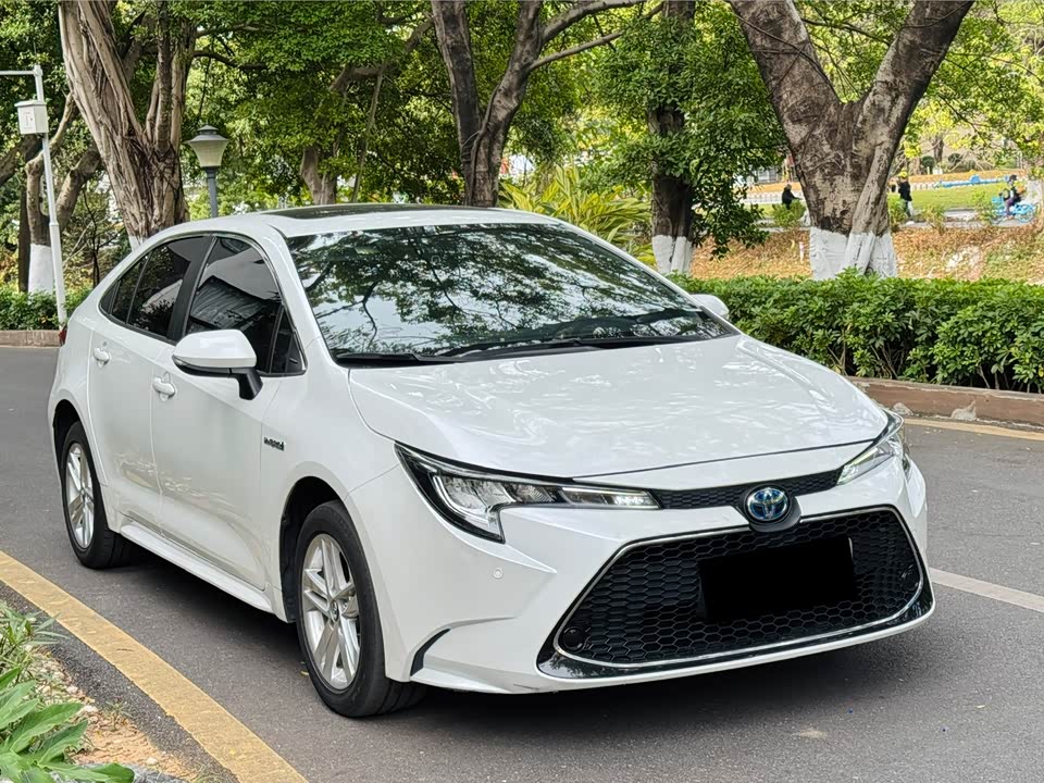 Toyota Lei Ling