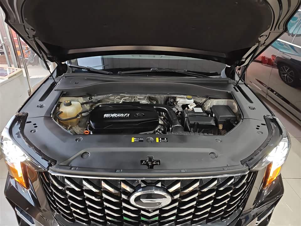 Trumpchi Trumpchi GS8