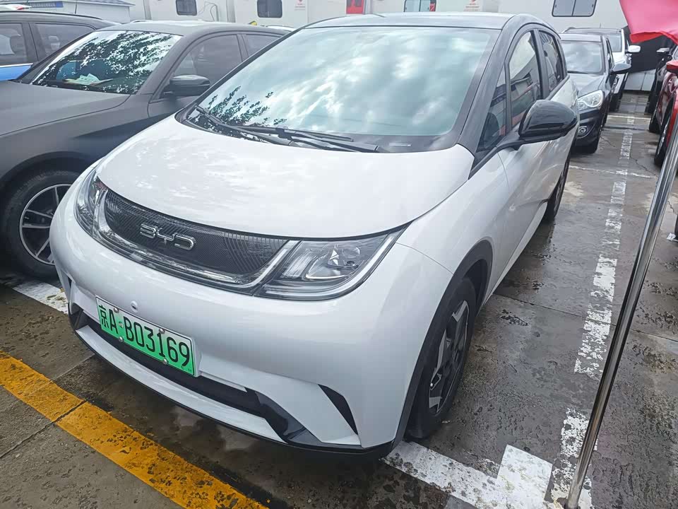 BYD dolphin