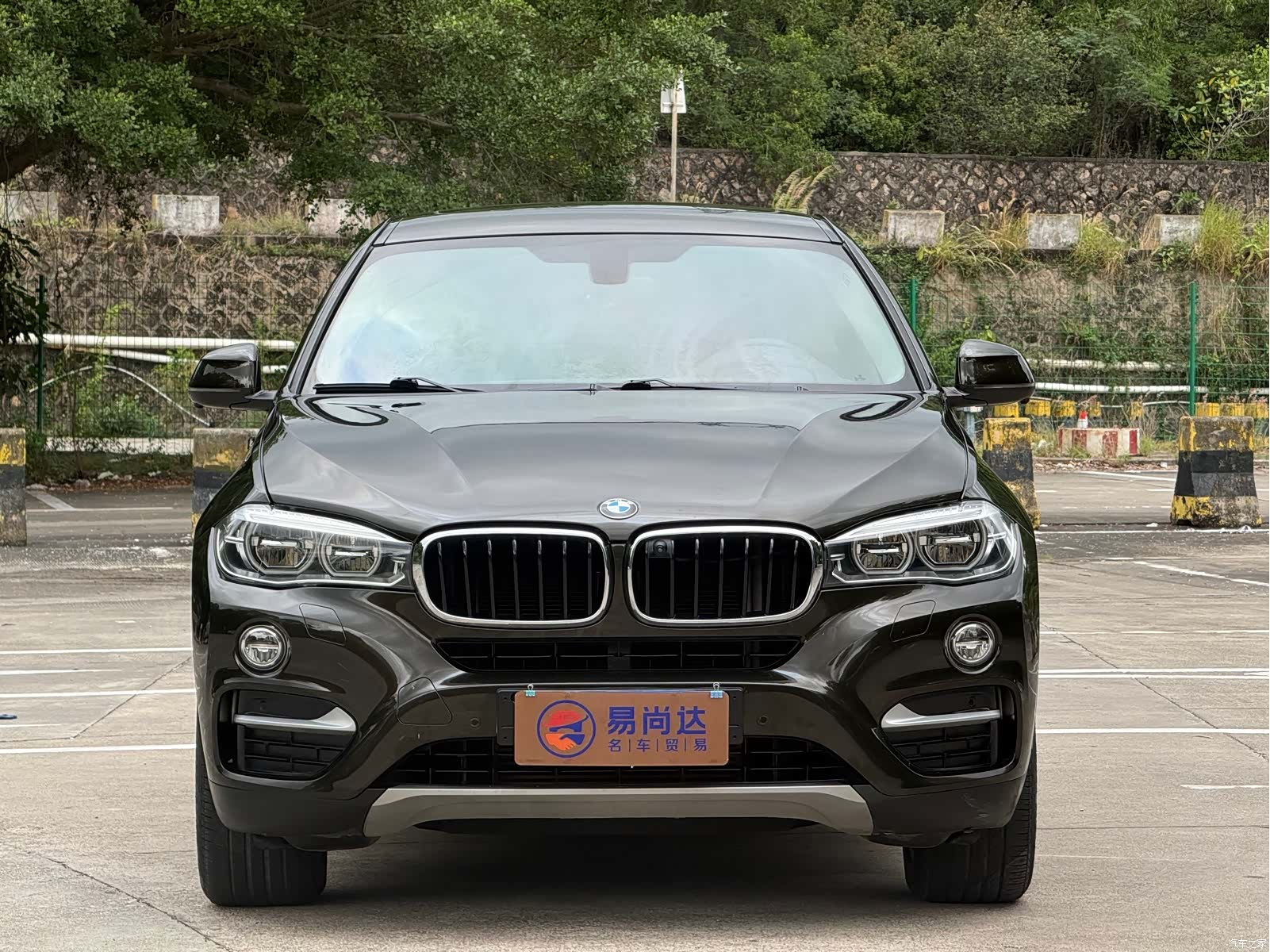 BMW X6, 2019 1