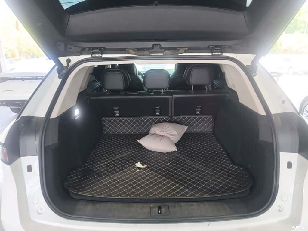 Chery Tiggo 9, 2024 19