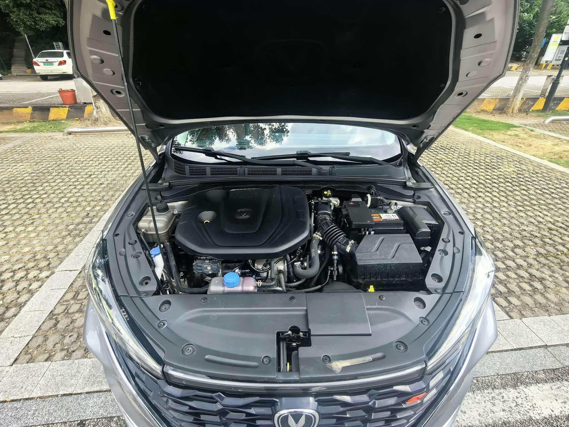 Changan Eado, 2022 17