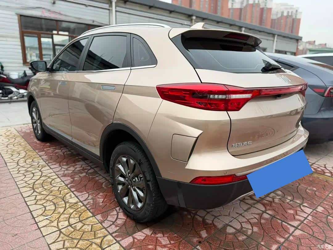 WM Motor EX5, 2019 4
