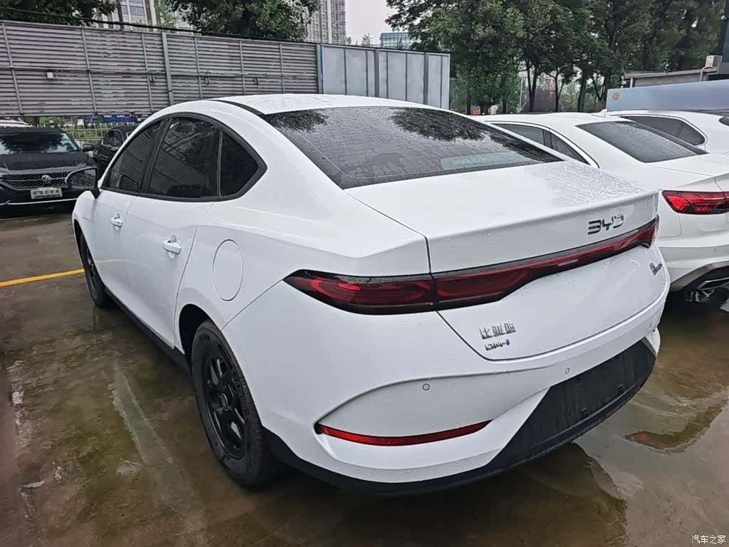 BYD Qin, 2025 все фото