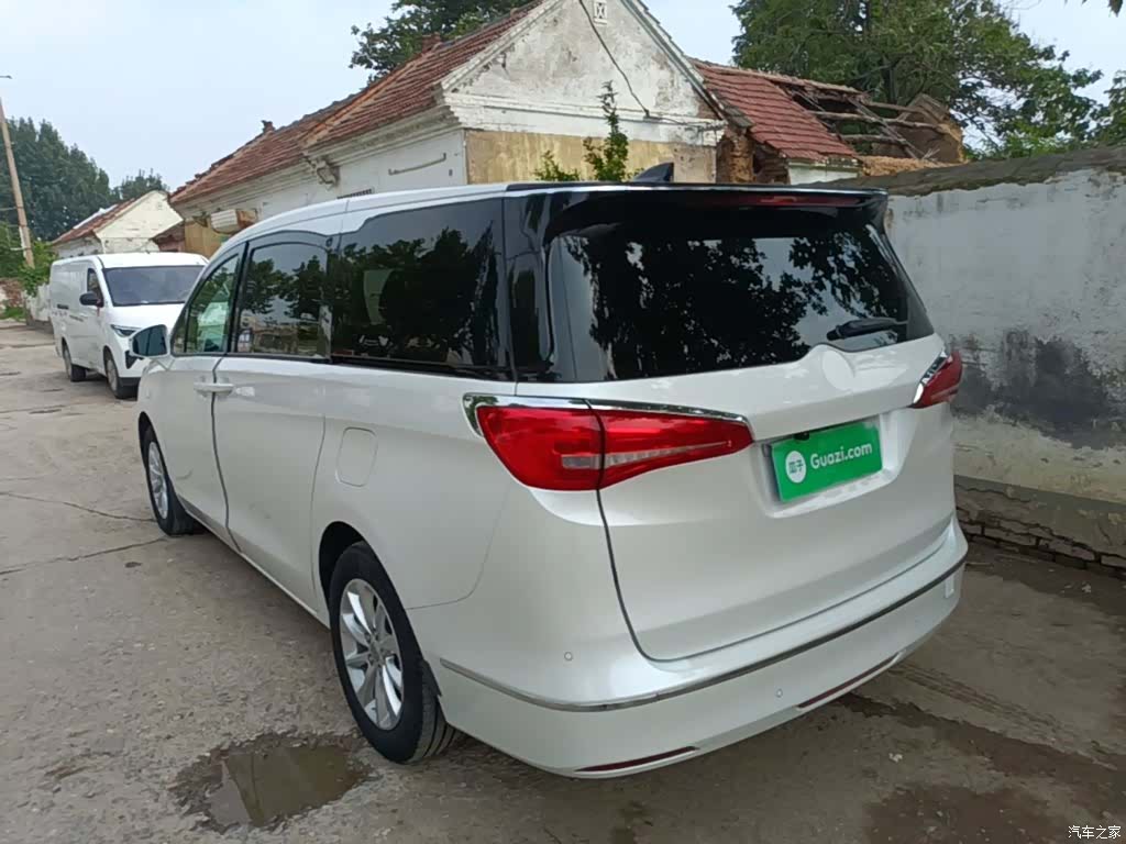 Buick GL8, 2019 все фото