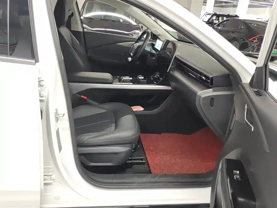 Wuling Wuling Starlight