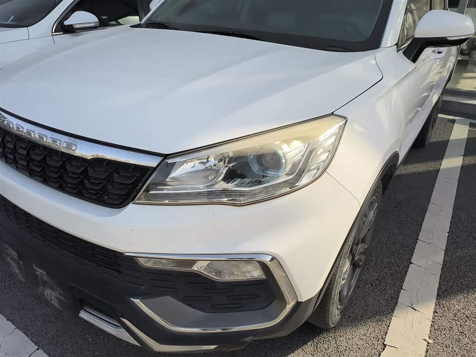 Leopaard Cheetah CS9