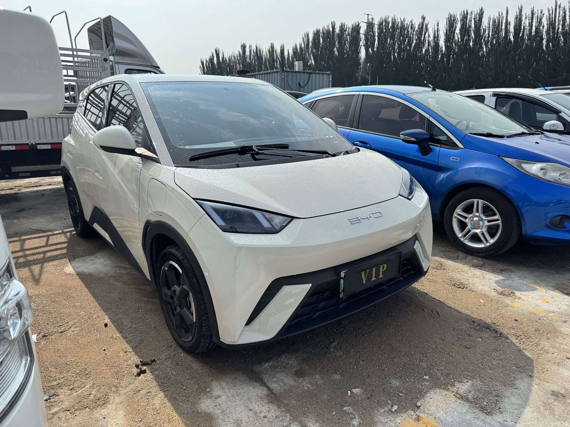 BYD Seagull, 2024 3