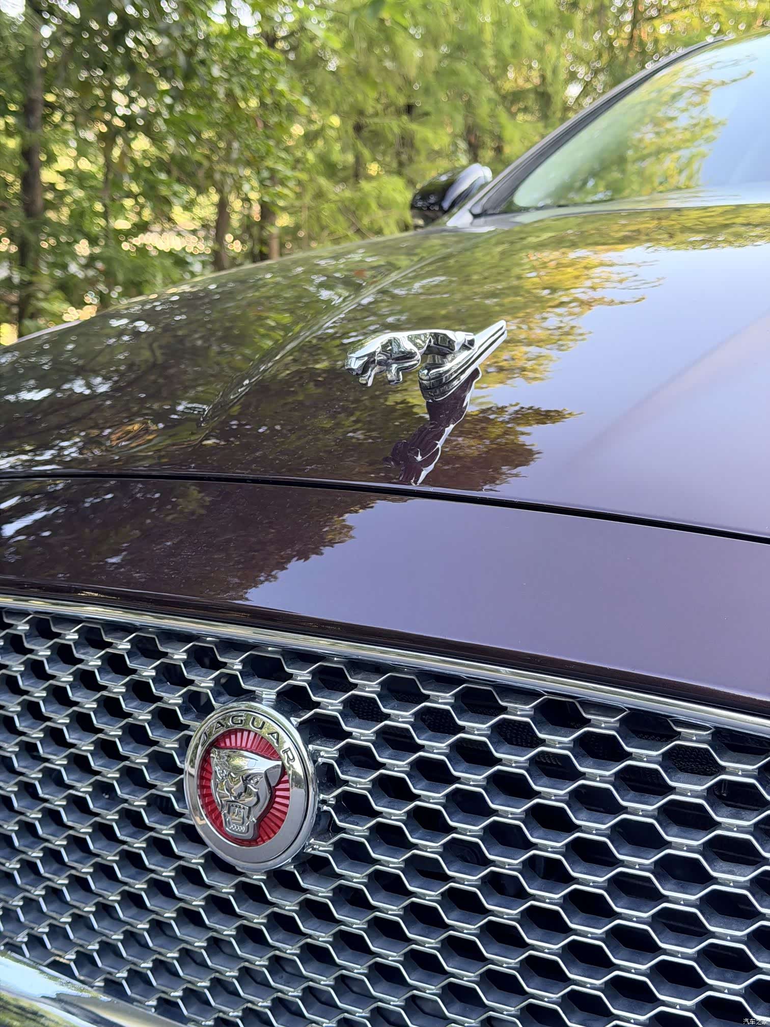 Jaguar XJ, 2017 6