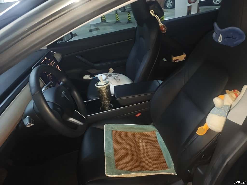 Tesla Model 3, 2020 11