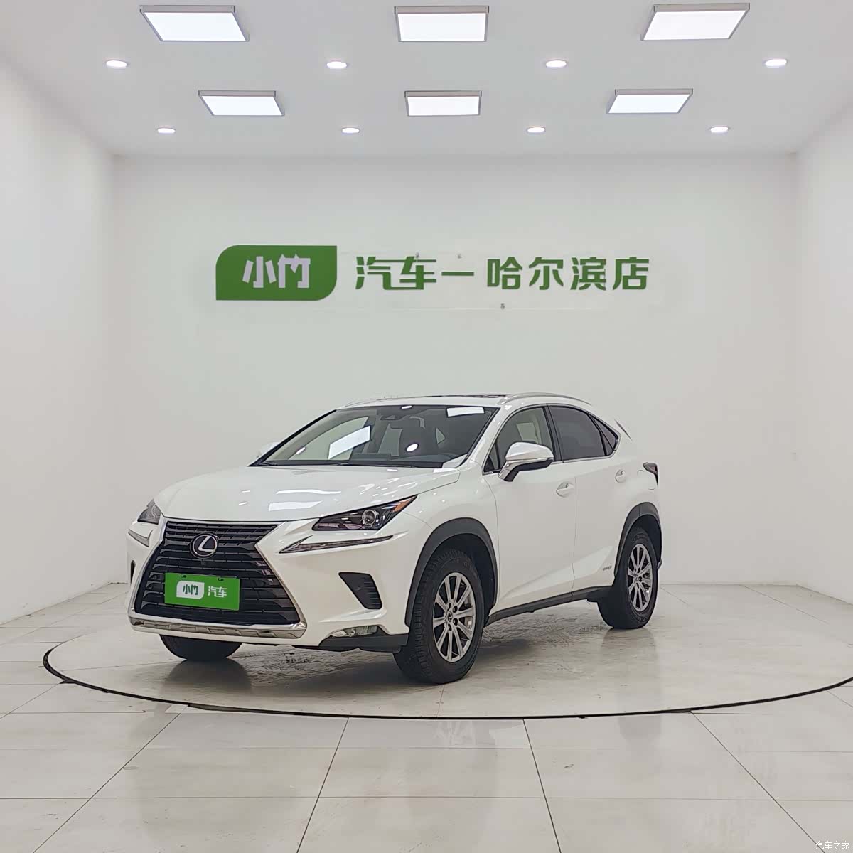 Lexus NX, 2021 1
