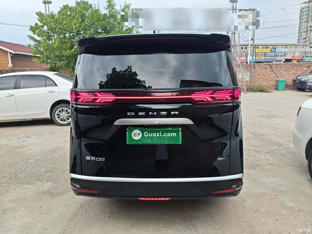 Denza D9, 2023 6