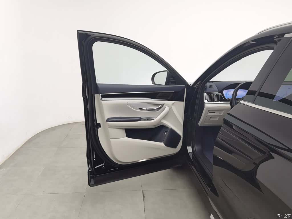 BYD Song, 2024 8