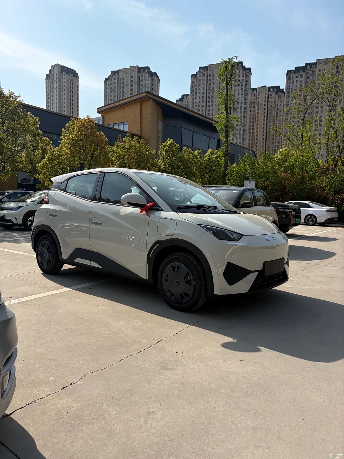 BYD Seagull, 2026 3