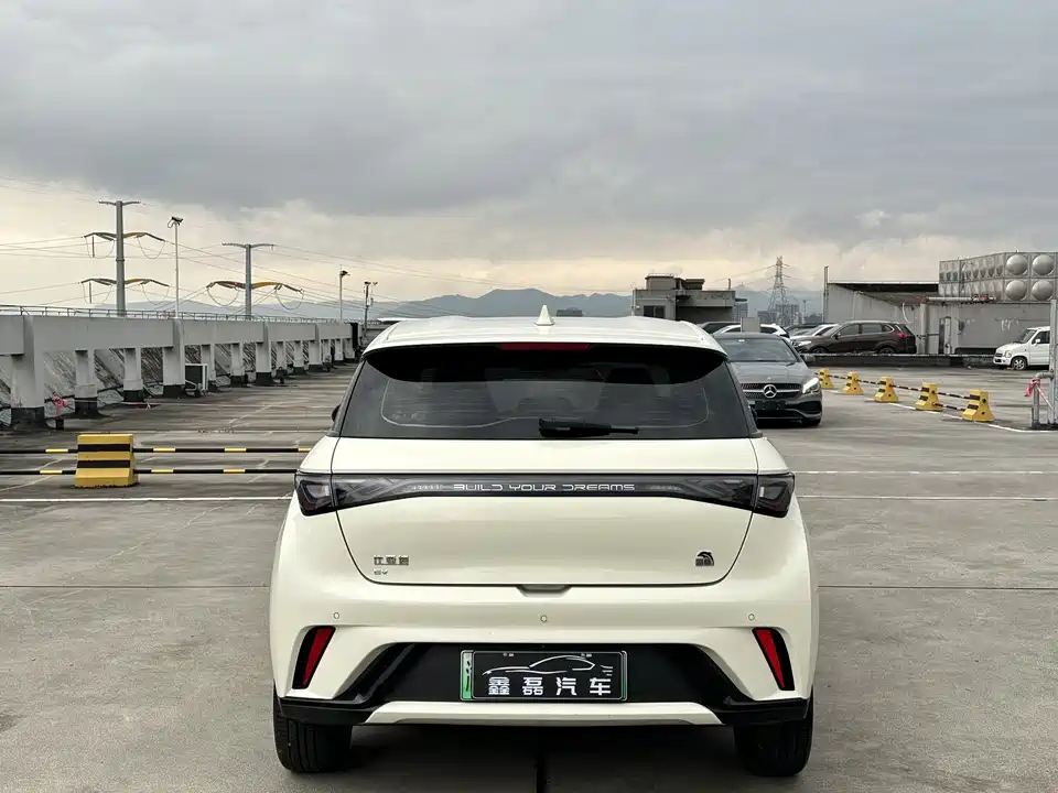 BYD dolphin BYD dolphin