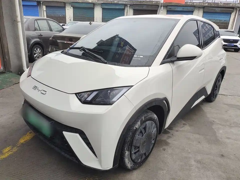 BYD Seagull
