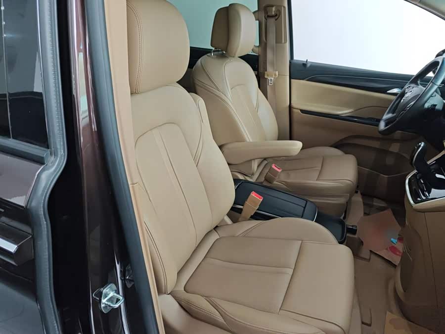 Buick GL8 2020, фото 21