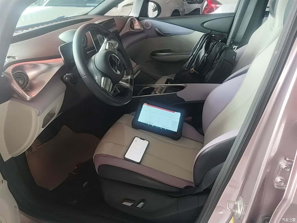 BYD Dolphin, 2022 16