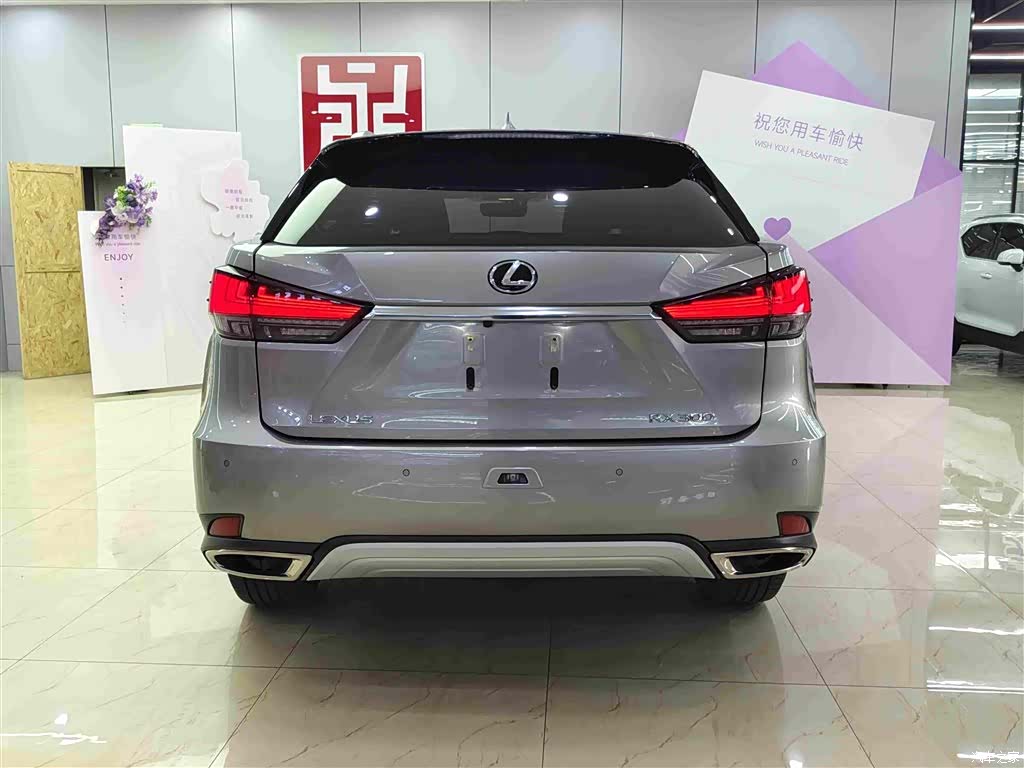 Lexus RX, 2022 все фото