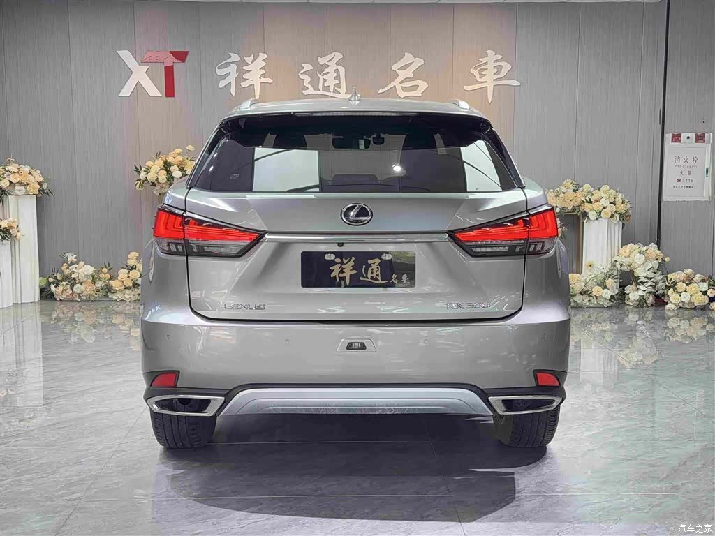 Lexus RX, 2022 24