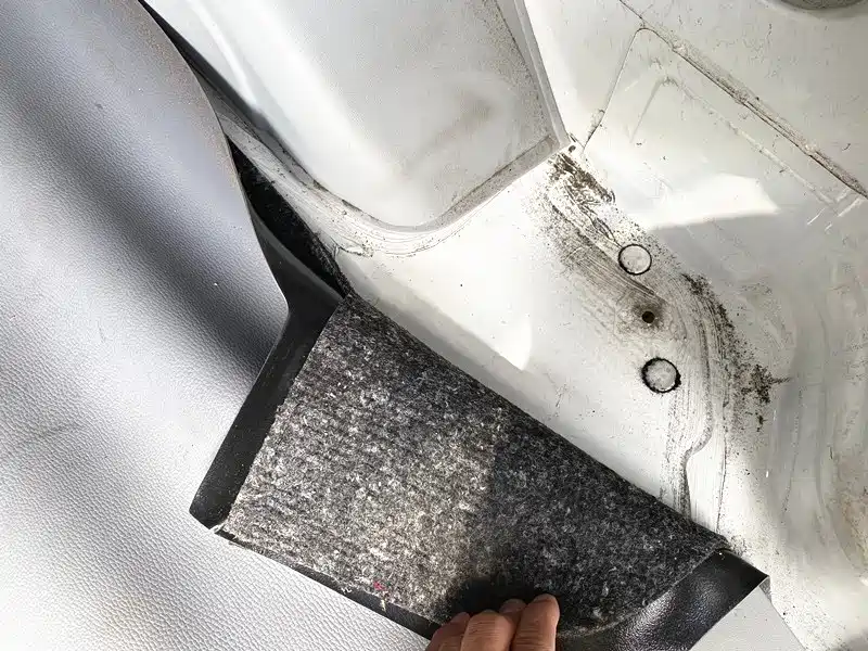 Jinbei New Sea Lion S