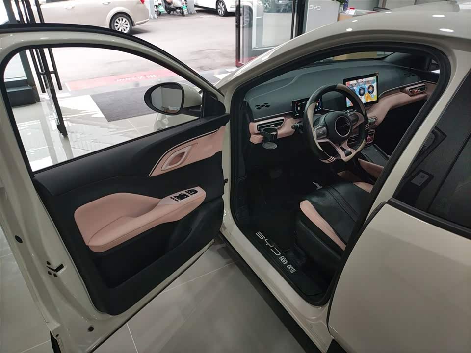 BYD Seagull