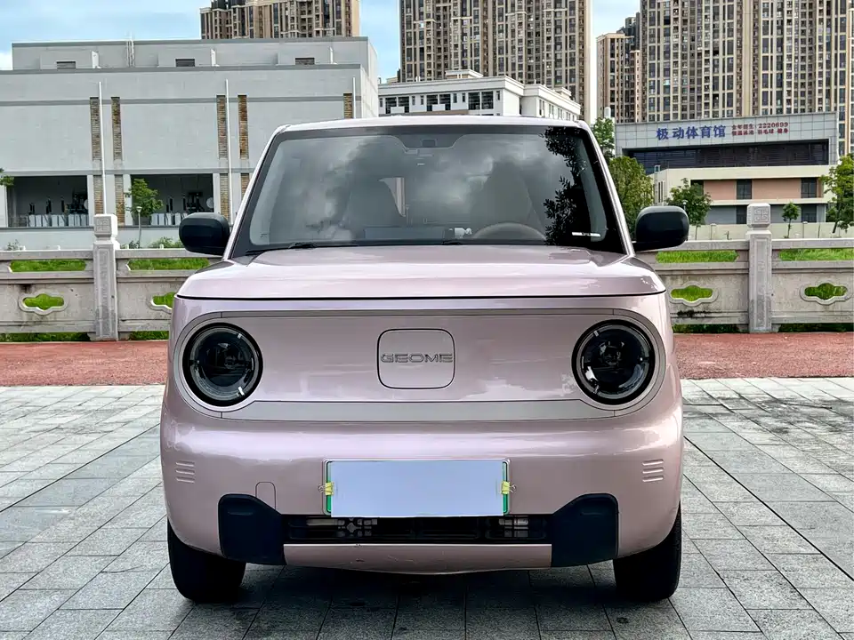 Geely Galaxy panda