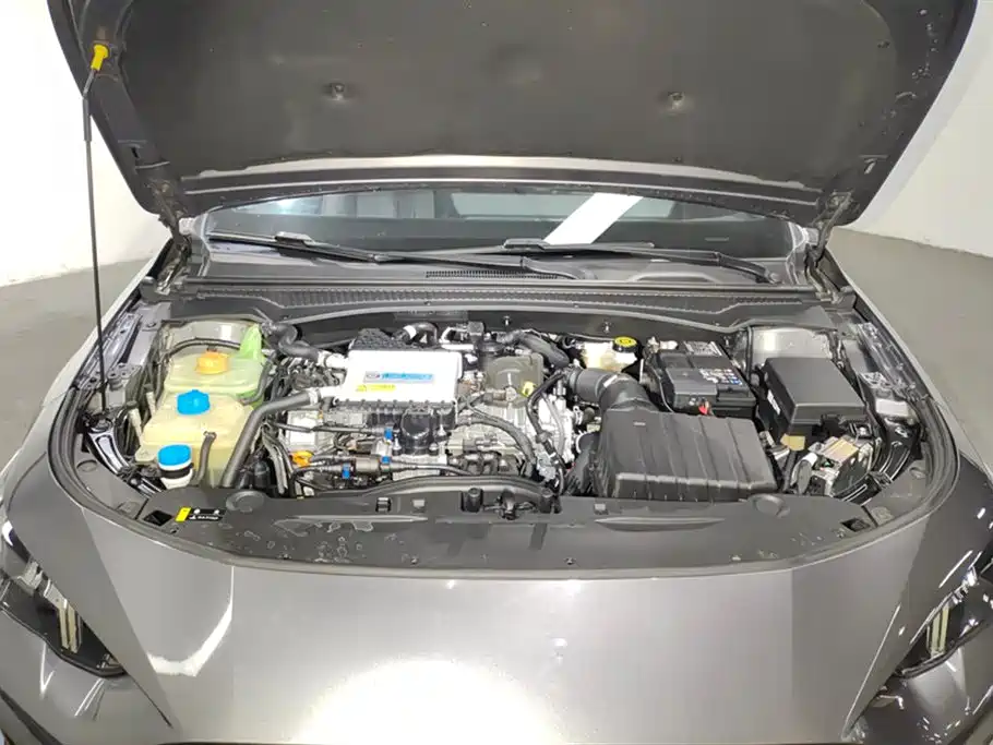 Trumpchi Shadow Leopard