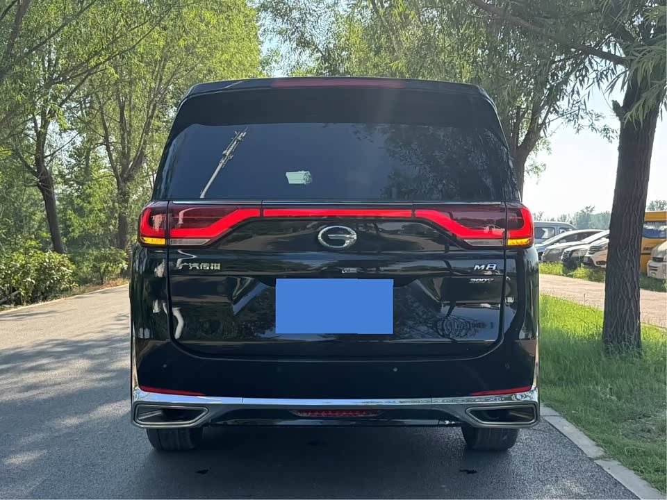 Trumpchi Trumpchi M8 Trumpchi Trumpchi M8
