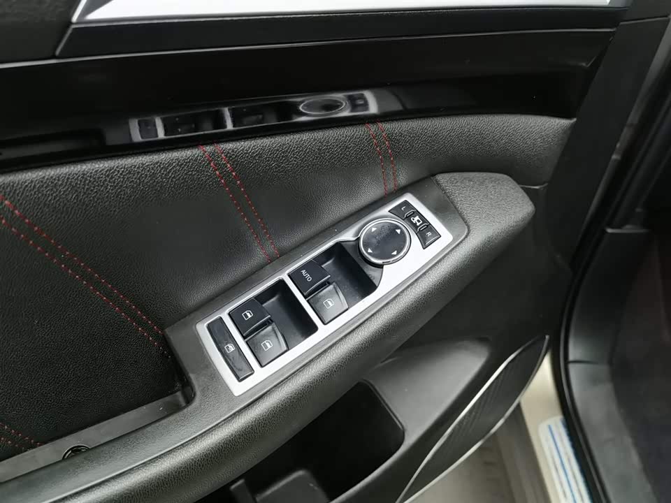 Leopaard Cheetah CS10