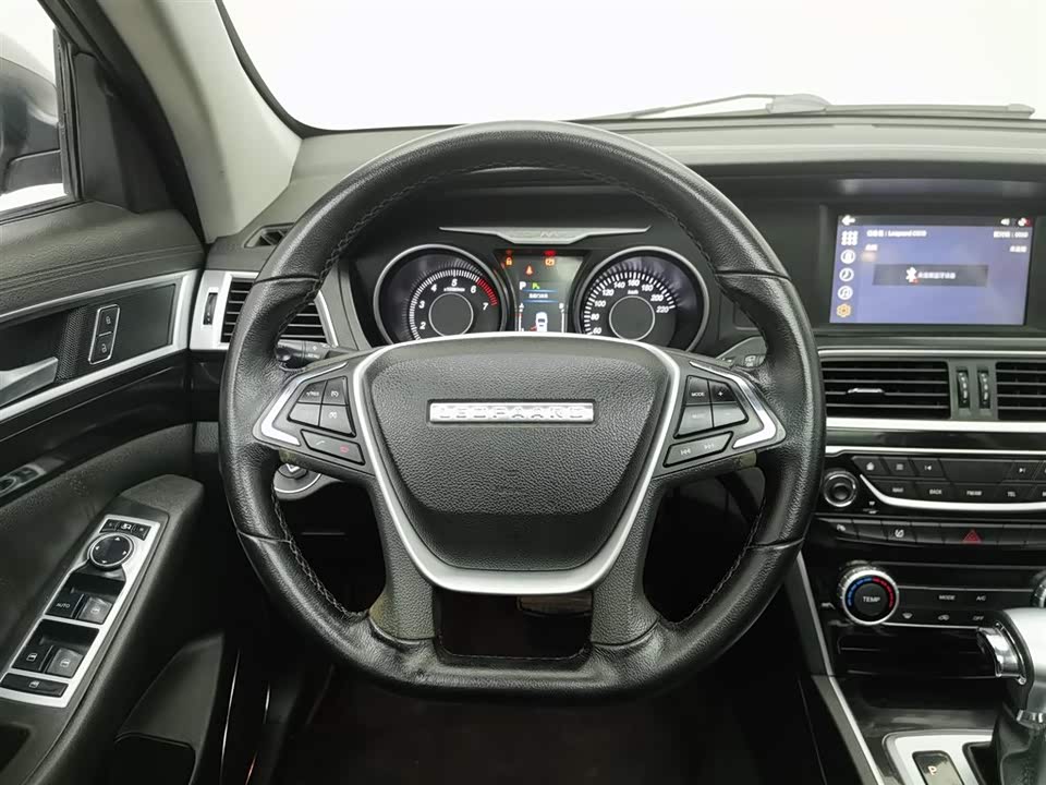 Leopaard Cheetah CS10