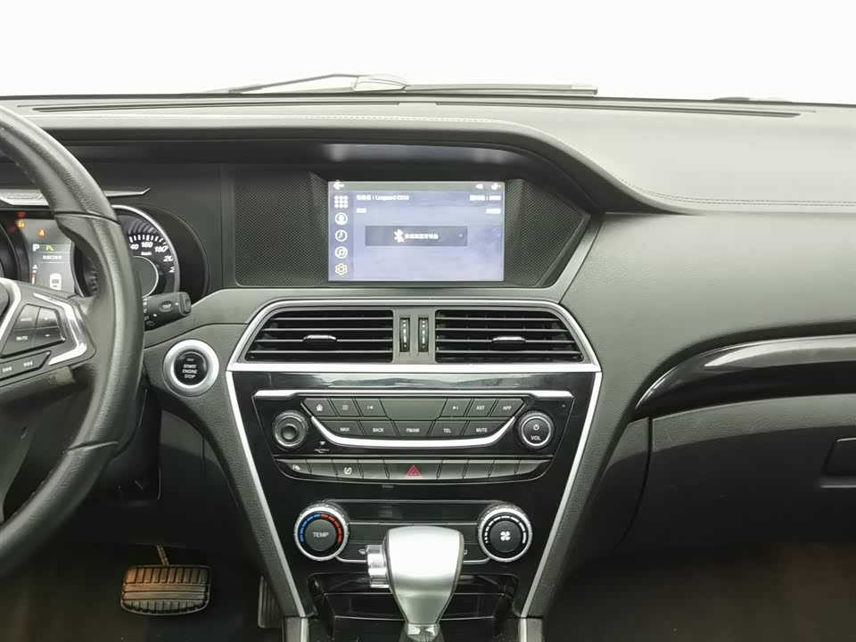 Leopaard Cheetah CS10