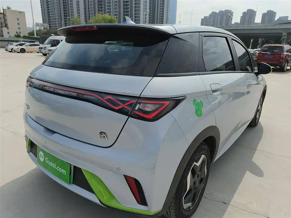BYD dolphin BYD dolphin