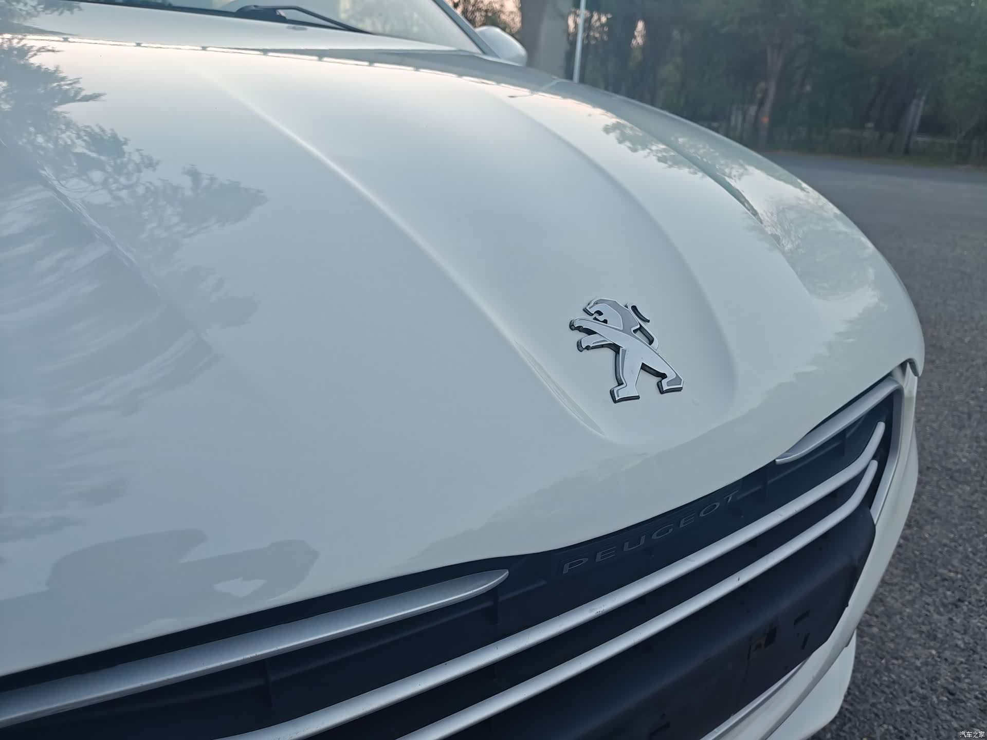 Peugeot 301, 2016 13