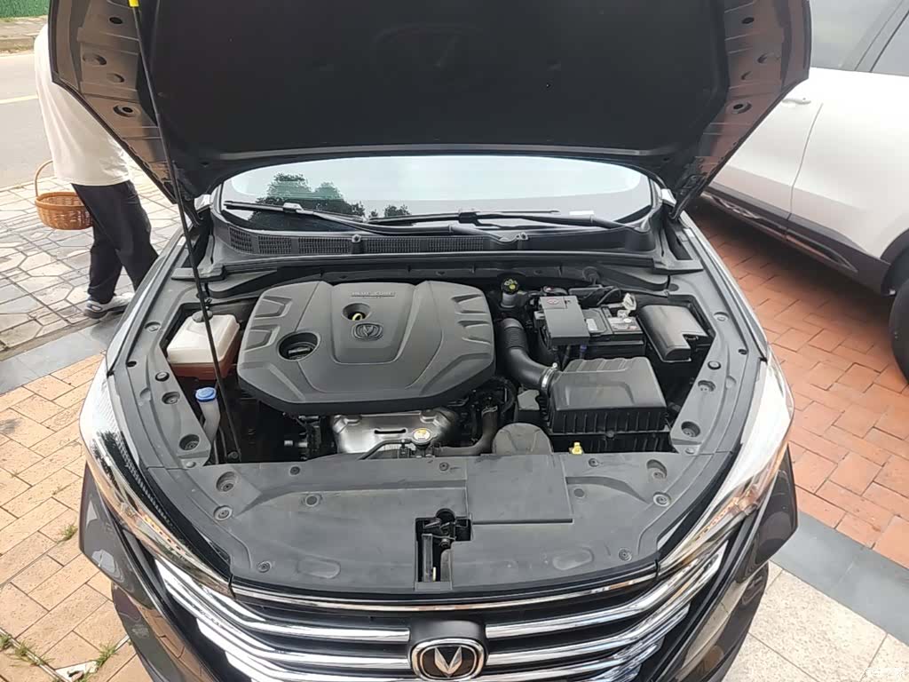 Changan Eado, 2023 20