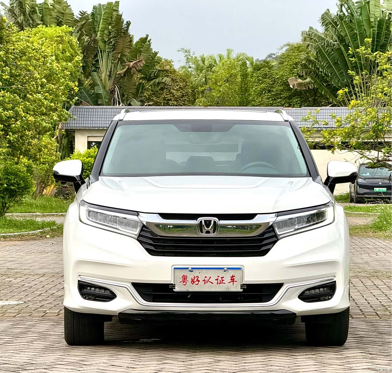 Honda Avancier, 2023 3