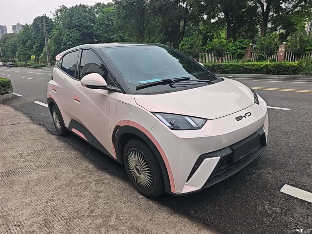 BYD Seagull, 2024 4